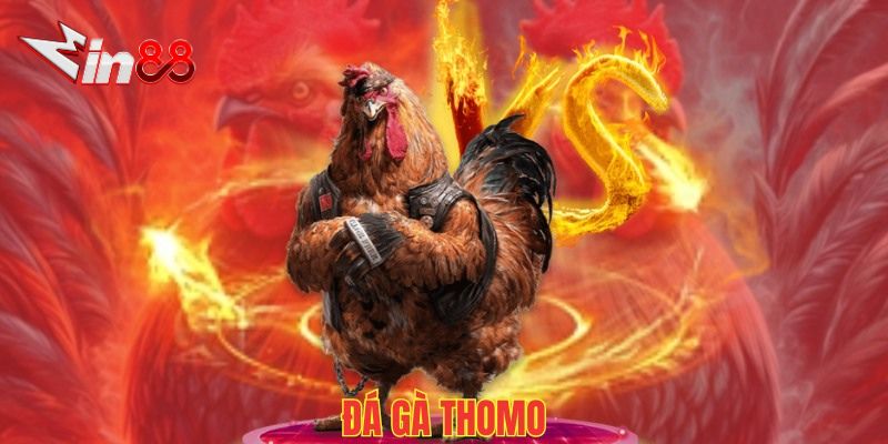 Đá Gà Thomo: Hướng Dẫn Chi Tiết và Kinh Nghiệm Chơi Hiệu Quả